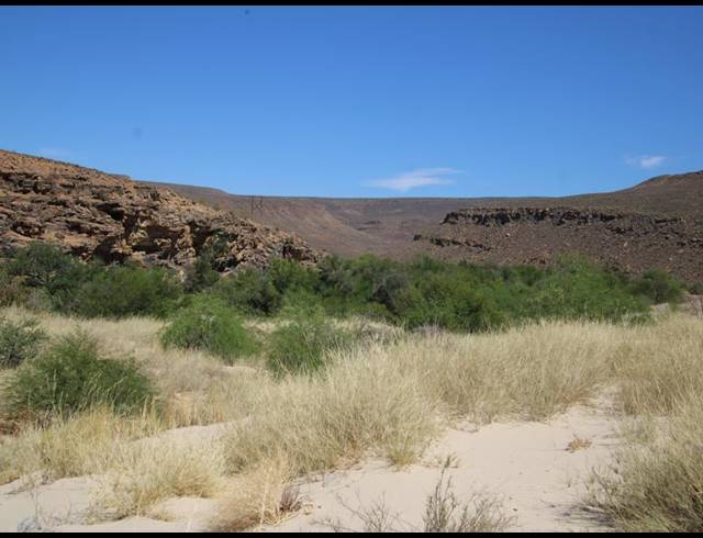328HA FARM FOR SALE IN CLANWILLIAM RURAL